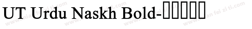 UT Urdu Naskh Bold字体转换